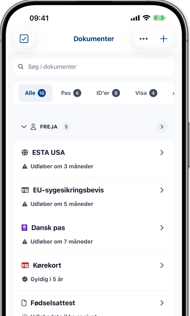 Dokumenterskærm med en families pas, id-kort og visa, hver med sin udløbstilstand