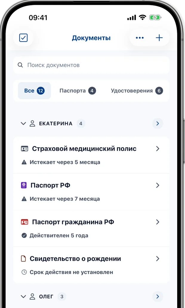 Экран документов, список паспортов, удостоверений и виз семьи с датами истечения